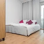 Rose By Renters * Vratislav